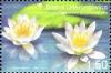 Colnect-5869-292-Water-Lily-Nymphaea-alba.jpg