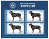 Colnect-5989-912-Rottweiler-Canis-lupus-familiaris.jpg