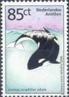 Colnect-964-881-Killer-Whale-Orcinus-orca.jpg