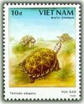 Colnect-1635-771-Indian-Star-Tortoise-Testudo-elegans.jpg