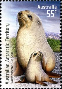 Colnect-2753-169-Subantarctic-Fur-Seal-Arctocephalus-tropicalis.jpg