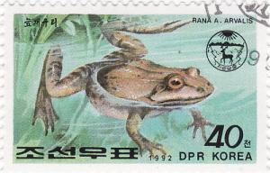 Colnect-1452-498-Moor-Frog-Rana-arvalis.jpg