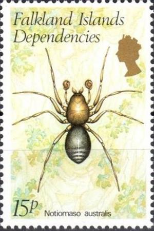 Colnect-1954-527-Spider-Notiomaso-australis.jpg