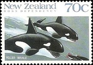 Colnect-2063-383-Killer-Whale-Orcinus-orca.jpg