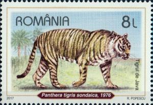 Colnect-4058-818-Javan-tiger-Panthera-tigris-sondaica.jpg