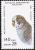 Colnect-1458-221-Budgerigar-Melopsittacus-undulatus.jpg