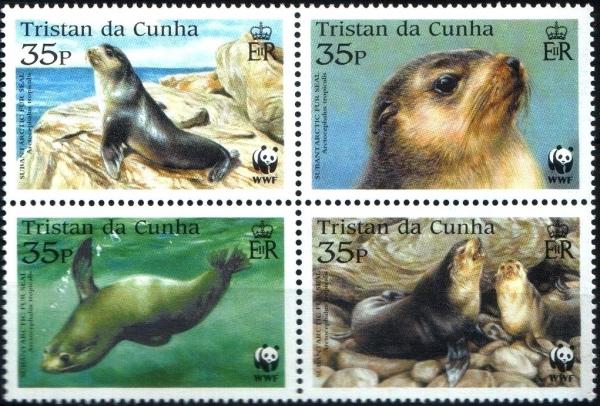 Colnect-3655-997-Subantarctic-Fur-Seal-Arctocephalus-tropicalis.jpg
