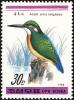 Colnect-1614-798-Common-Kingfisher-Alcedo-atthis-ssp-bengalensis.jpg