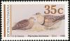 Colnect-2791-676-Double-banded-Sandgrouse-Pterocles-bicinctus.jpg