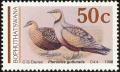 Colnect-1456-697-Yellow-throated-Sandgrouse-Pterocles-gutturalis.jpg