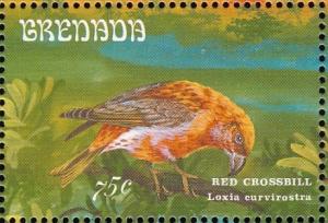 Colnect-2192-549-Red-Crossbill-Loxia-curvirostra.jpg