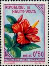 Colnect-507-615-Hibiscus-rosa-sinensis.jpg