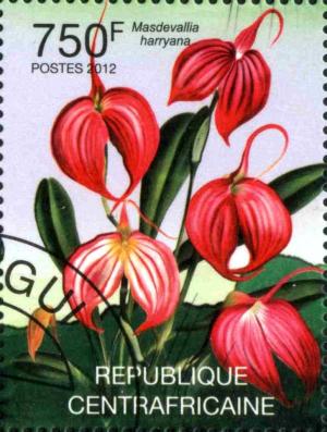Colnect-3075-286-Masdevallia-harryana.jpg