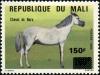 Colnect-2527-084-Nara-Horse-Equus-ferus-caballus.jpg