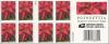 Colnect-4220-815-Poinsettia-Plant---Large.jpg