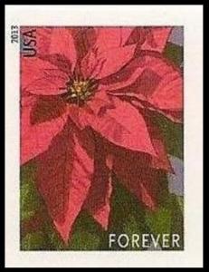 Colnect-4220-807-Poinsettia-Plant---Large.jpg