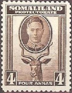 Colnect-1282-319-George-VI-Lesser-Kudu-Tragelaphus-imberbis.jpg