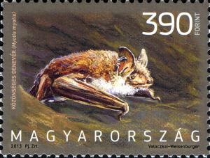 Colnect-1897-351-Greater-mouse-eared-bat-Myotis-myotis.jpg