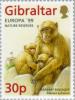 Colnect-120-947-Europa---99--Nature-Reserves--Barbary-Macaque-Macaca-sylva.jpg