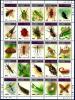 Colnect-3330-429-Insects-and-Spiders.jpg