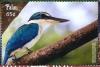 Colnect-3669-277-Collared-Kingfisher%C2%A0%C2%A0%C2%A0%C2%A0Todiramphus-chloris.jpg