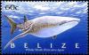 Colnect-4025-644-Whale-Shark-Rhincodon-typus.jpg