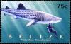 Colnect-4025-645-Whale-Shark-Rhincodon-typus.jpg