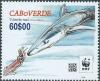 Colnect-4084-637-Blue-Shark-Prionace-glauca.jpg