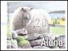 Colnect-430-951-Skerry-Sheep-Ovis-ammon-aries.jpg