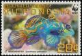 Colnect-1620-622-Mandarinfish-Synchiropus-splendidus.jpg