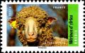 Colnect-4445-771-Merino-Sheep-Ovis-ammon-aries.jpg