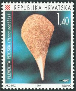 Colnect-5642-155-Pen-Shell-Pinna-nobilis.jpg