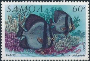 Colnect-3945-369-Batfish-Platax-orbicularis.jpg