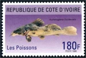 Colnect-4932-449-Giraffe-Catfish-Auchenoglanis-occidentalis.jpg