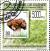 Colnect-3554-084-Mushrooms-on-Stamps.jpg