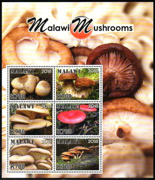 Colnect-5198-308-Mushrooms-of-Malawi.jpg