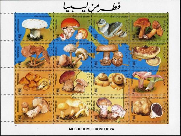 Colnect-2049-599-Mushrooms-from-Libya.jpg