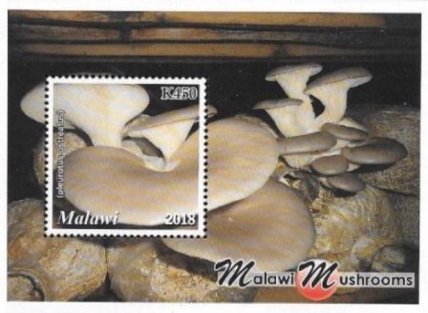 Colnect-5156-918-Mushrooms-of-Malawi.jpg