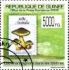 Colnect-3554-081-Mushrooms-on-Stamps.jpg