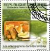 Colnect-3554-083-Mushrooms-on-Stamps.jpg