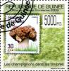 Colnect-3554-084-Mushrooms-on-Stamps.jpg