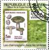 Colnect-3554-085-Mushrooms-on-Stamps.jpg