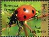 Colnect-6292-371-Asian-Lady-Beetle.jpg