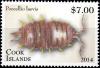 Colnect-2397-595-Smooth-Slater-Porcellio-laevis.jpg