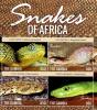 Colnect-3611-862-Snakes-of-Africa.jpg