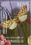 Colnect-3262-353-Hickory-Tussock-Moth-Lophocampa-caryae.jpg