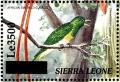 Colnect-3561-485-African-Emerald-Cuckoo-nbsp--nbsp--nbsp--nbsp-Chrysococcyx-cupreus.jpg