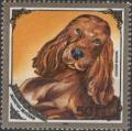 Colnect-913-332-English-Cocker-Spaniel-Canis-lupus-familiaris.jpg