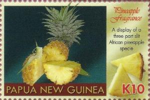 Colnect-2946-489-African-pineapple-species-sliced-into-three-portions.jpg
