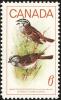 Colnect-3642-376-White-throated-Sparrow-Zonotrichia-albicollis.jpg